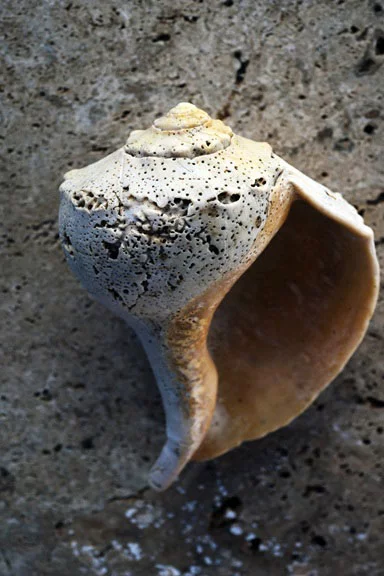 Artfilia Beach Treasures No. 5 Variante 1 13x18 cm