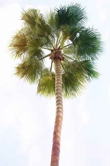 Artfilia Summer Feel No. 1 Variante 1 20x30 cm