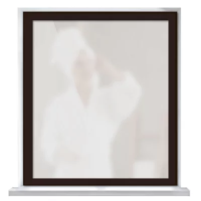 Secret-Fenster Schwarzbraun RAL 8022 | Milchglas