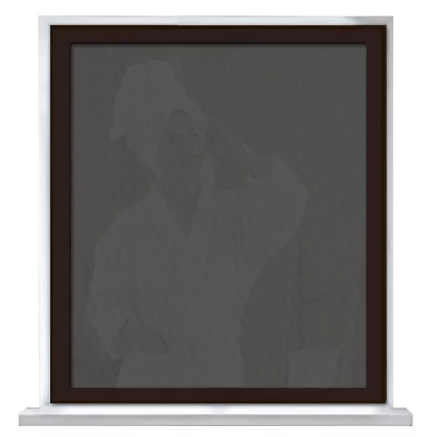 Secret-Fenster Schwarzbraun RAL 8022 | Stoff, schwarz