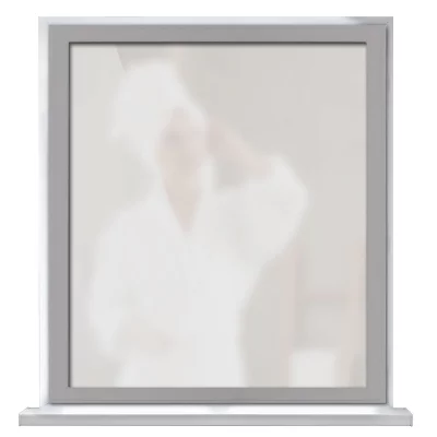 Secret-Fenster Silber eloxiert EV1 | Milchglas