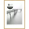 morepic-1