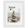 morepic-1