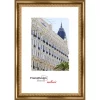 morepic-1