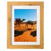 morepic-1