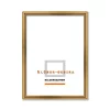 morepic-1