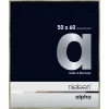 Variante Brushed Edelstahl von Alu-Bilderrahmen Profil alpha