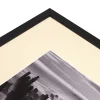 Variante Palm von 1,4 mm Passepartout Alphamat Artcare
