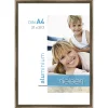 morepic-1
