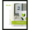 morepic-1