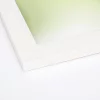 morepic-1