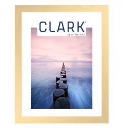 Bilderrahmen Alu-Bilderrahmen Serie 450 Gold matt, geb&uuml;rstet