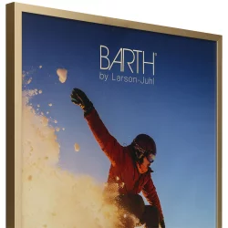 Alu-Bilderrahmen Barth, Serie 916 Light Gold matt