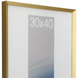 Bilderrahmen Alurahmen Wega Sonderzuschnitt Gold matt