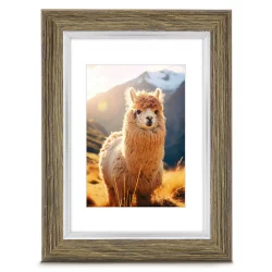 Bilderrahmen Kunststoffrahmen Lima Dunkelbraun