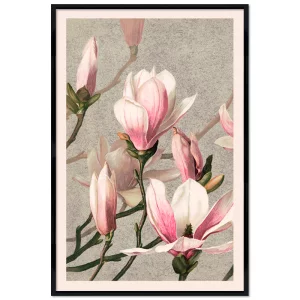 Poster mit Rahmen - L. Prang & Co. - Magnolia