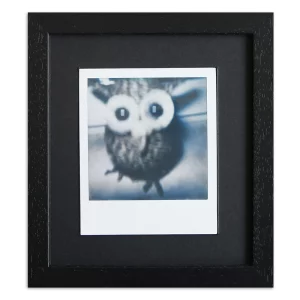 Bilderrahmen für 1 Sofortbild - Typ Polaroid 600