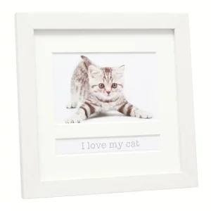 Cadre photo avec fenêtre pour texte I love my cat