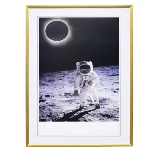 Kunststoff-Bilderrahmen Profil 1200 30x40 cm | gold | Normalglas (2 mm)