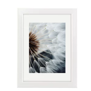 Kunststoff Bilderrahmen Breeze