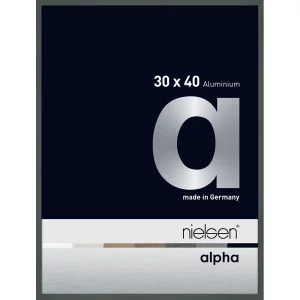 Alurahmen Alpha 30x40 cm | Platin | Normalglas (2 mm)