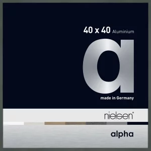 Alurahmen Alpha 40x40 cm | Platin | Normalglas (2 mm)