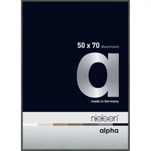 Alurahmen Alpha 50x70 cm | Platin | Normalglas (2 mm)
