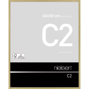 Alurahmen C2 40x50 cm | Struktur Gold matt | Normalglas (2 mm)