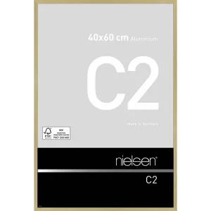 Alurahmen C2 40x60 cm | Struktur Gold matt | Normalglas (2 mm)