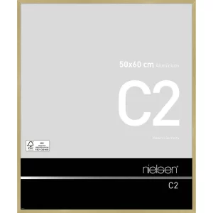 Alurahmen C2 50x60 cm | Struktur Gold matt | Normalglas (2 mm)