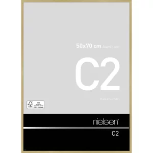 Alurahmen C2 50x70 cm | Struktur Gold matt | Normalglas (2 mm)