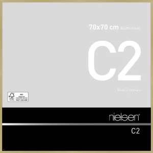 Alurahmen C2 70x70 cm | Struktur Gold matt | Normalglas (2 mm)