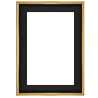 Baklijst FLOATS 36 42x59,4 cm (A2) | zwart met goud | lege lijst (zonder glas en achterwand)