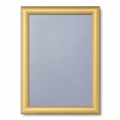 Kliklijst Color, 25 mm 21x29,7 cm (A4) | goud, mat | kunstglas, gematteerd (1 mm)