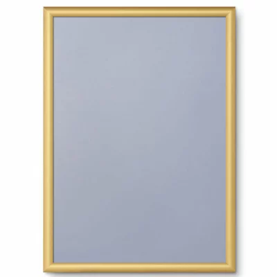 Kliklijst Color, 25 mm 42x59,4 cm (A2) | goud, mat | kunstglas, gematteerd (1 mm)