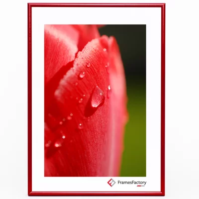 Aluminiowa rama Alicja 61x91,5 cm | czerwony. matowy | szkło sztuczne (1 mm)