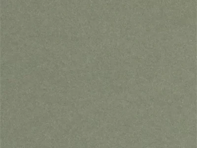1,4 mm Passepartout mit individuellem Ausschnitt 30x30 cm | Tundragrün (238)