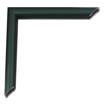 Alu-Bilderrahmen Pedro Maßanfertigung Florentiner Grün | Kunstglas (2 mm)
