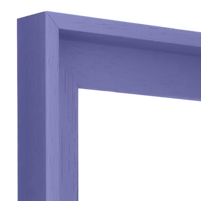Skuggfogsram Matiz 50x50 cm | Iris (076) | Tom ram (utan glas/baksida)