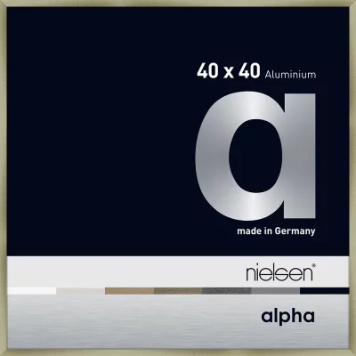 Alurahmen Alpha 40x40 cm | Brushed Edelstahl | Normalglas (2 mm)