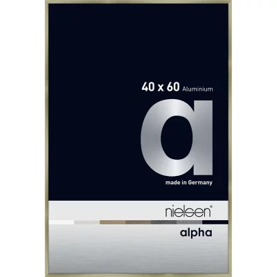 Alurahmen Alpha 40x60 cm | Brushed Edelstahl | Normalglas (2 mm)