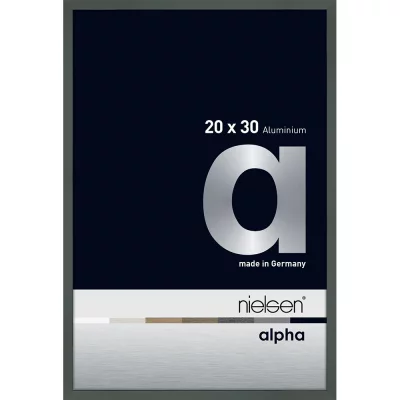 Alurahmen Alpha 20x30 cm | Platin | Normalglas (2 mm)