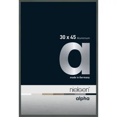 Alurahmen Alpha 30x45 cm | Platin | Normalglas (2 mm)