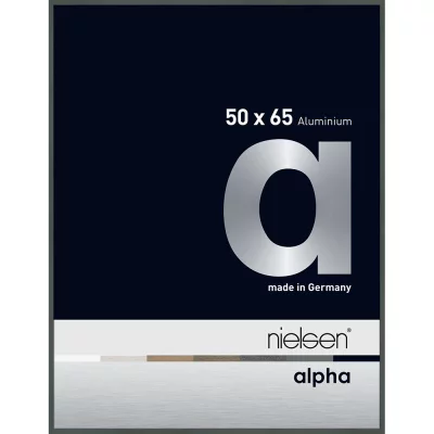 Alurahmen Alpha 50x65 cm | Platin | Normalglas (2 mm)