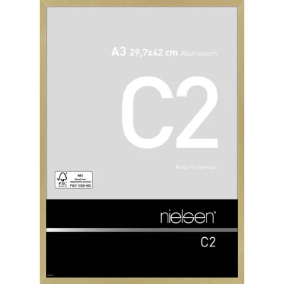 Aluminium lijst C2 29,7x42 cm (A3) | goud, mat | normaal glas (2 mm)