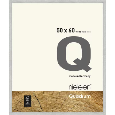 Holzrahmen Quadrum 50x60 cm | Silber | Normalglas (2 mm)