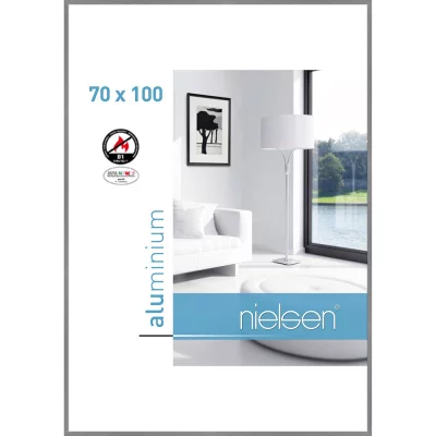 B1 cornice protezione fuoco C2 70x100 cm | grigio opaco | Vetro standard (2 mm)