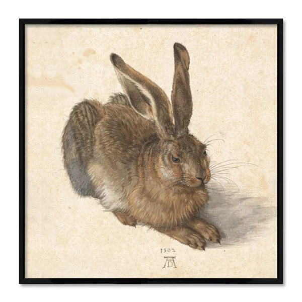 Poster mit Rahmen - Albrecht Dürer - Feldhase (Young Hare) 40x40 cm | Schwarz