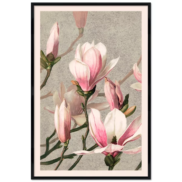 Poster mit Rahmen - L. Prang & Co. - Magnolia 13x18 cm | Schwarz