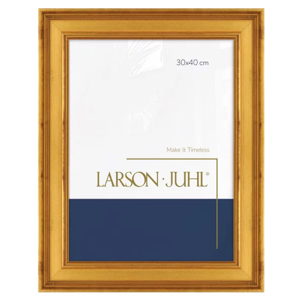 Holz Bilderrahmen ACADEMIE 5,4 42x59,4 cm (A2) | Gold | Normalglas (2 mm)